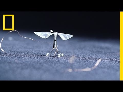 featured