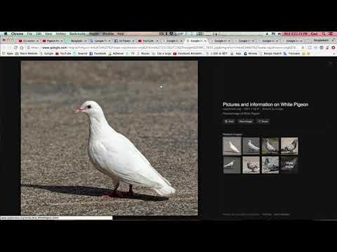 featured