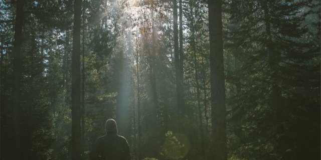 featured
