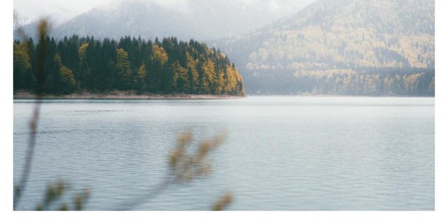 featured