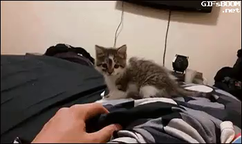 featured