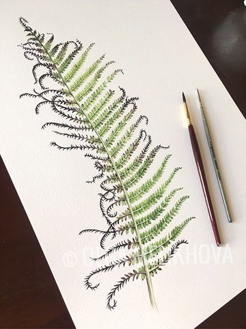 featured