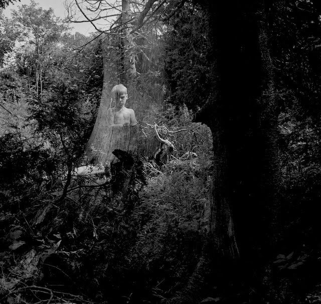 A boy fading into a tree