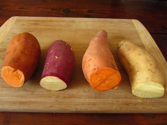 Sweetpotato varieties