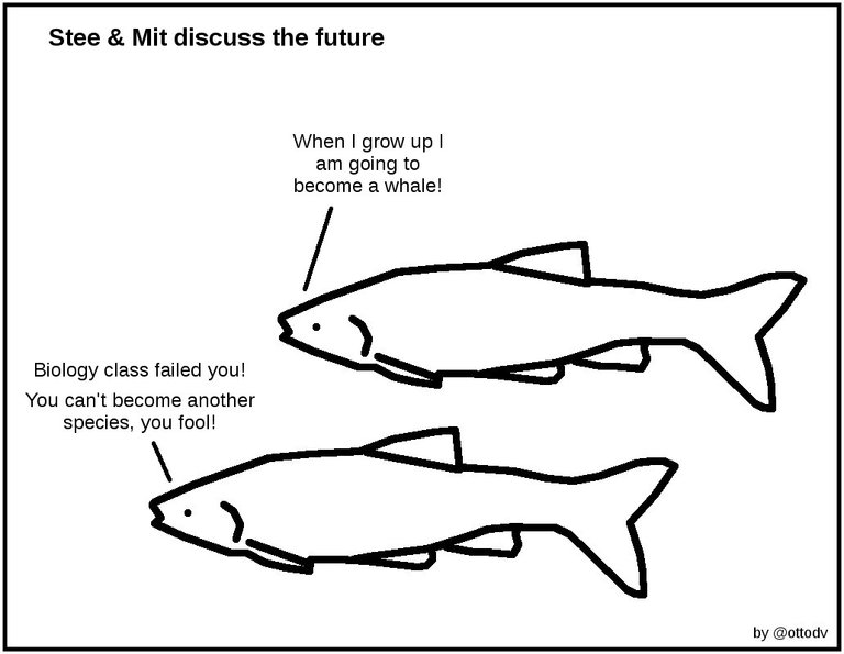 Stee & Mit Discuss the Future