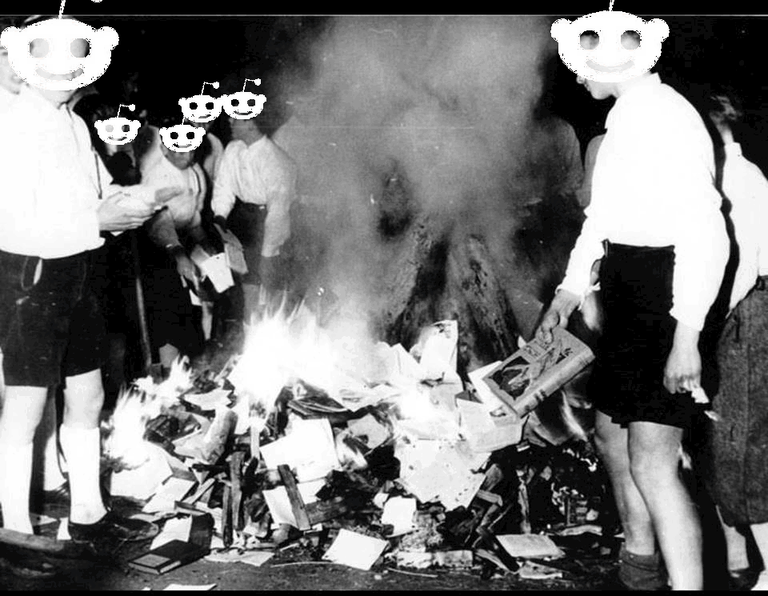 What does Book Burning look like in 2018???
