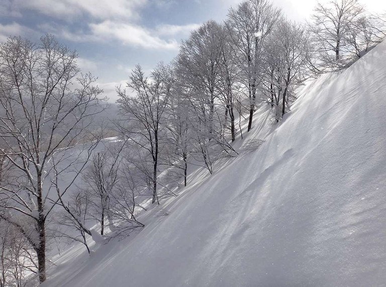 You'll be greeted with Champagne Powder when you ride/ski Hakuba.