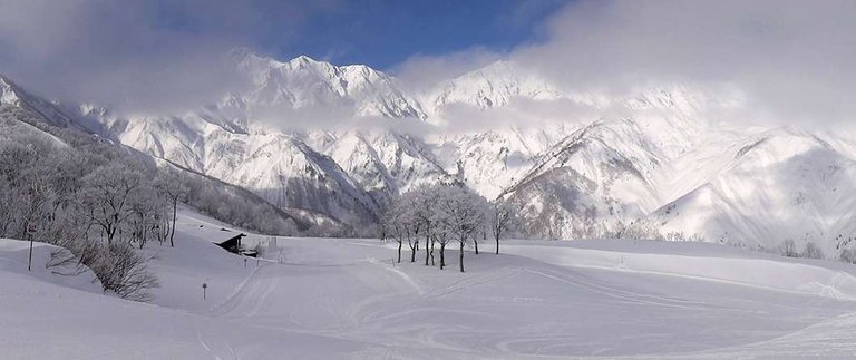 Hakuba Japow