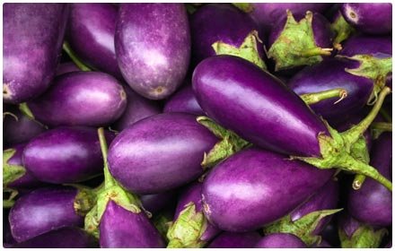 eggplant