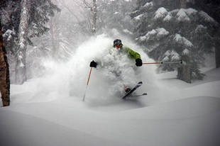 Image result for ski images powder