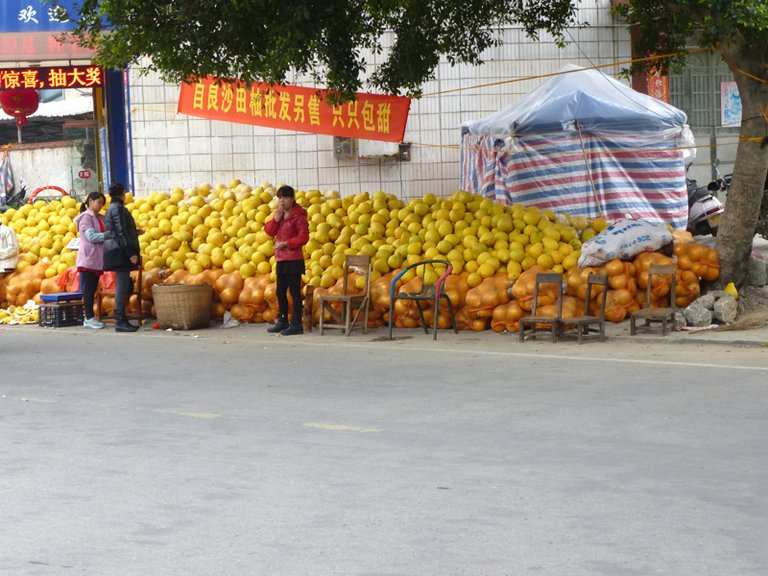 Yulin