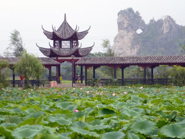 Scenes of Yulin