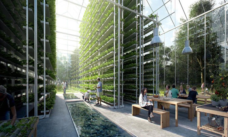 3060167-slide-5-this-new-neighborhood-will-grow-its-own-food-power-itself