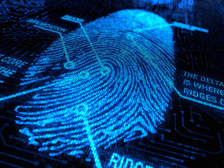 Fingerprint