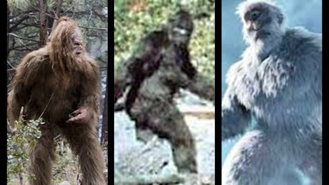 Sasquatch