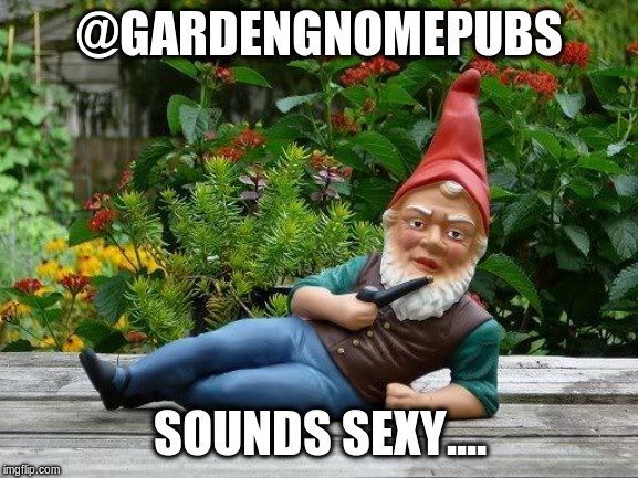 garden gnome pubs