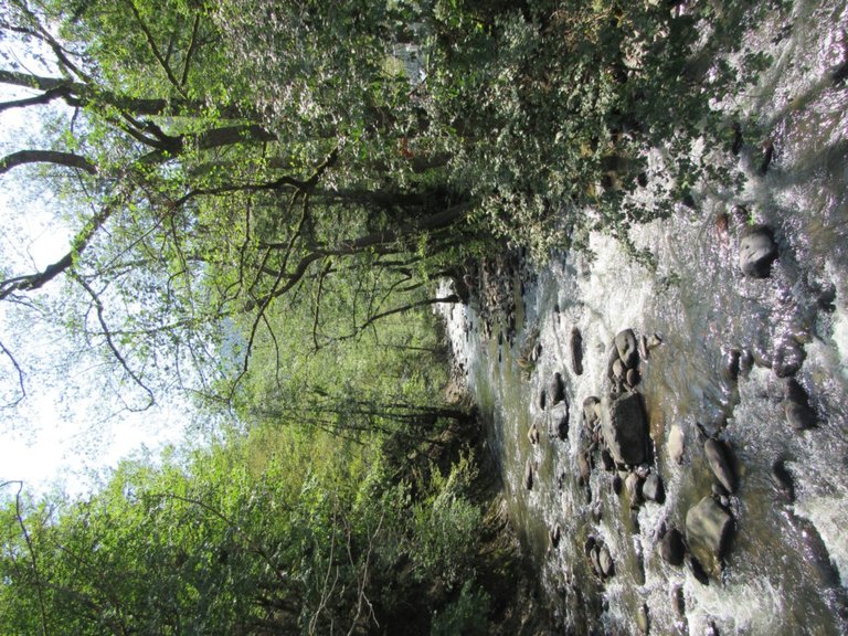 Borjomi beautiful nature