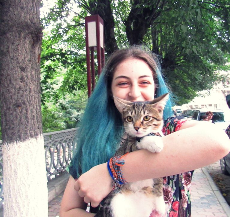 Cats in Borjomi