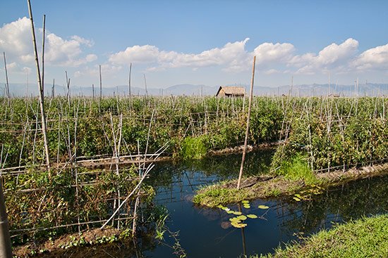 Inlay Lake