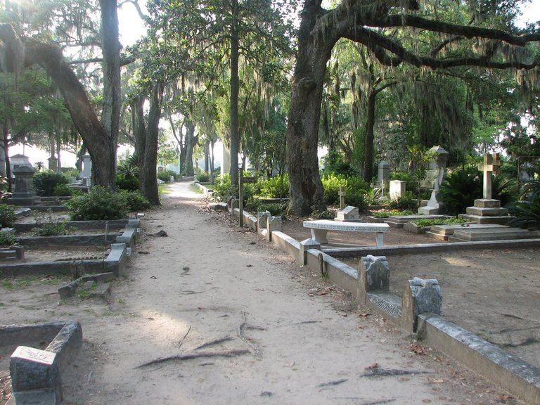 Bonaventure Cemetery