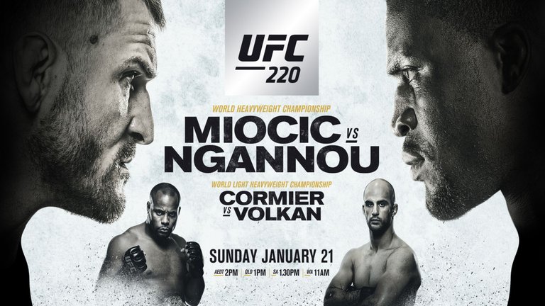 Image result for ufc 220