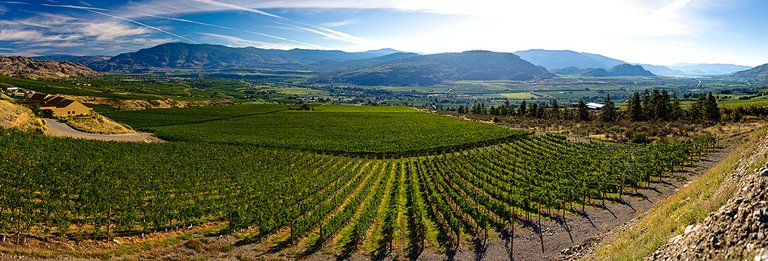 Image of the okanagan