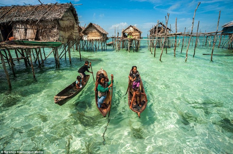 bajau