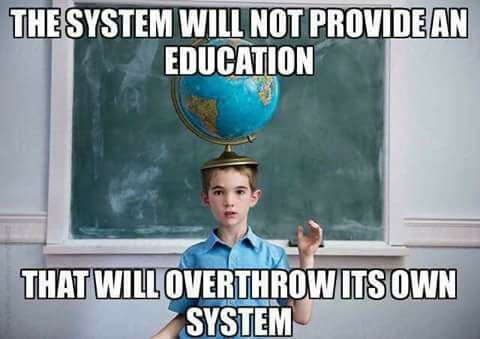 the system will not provide an education that will overthrow it's own system