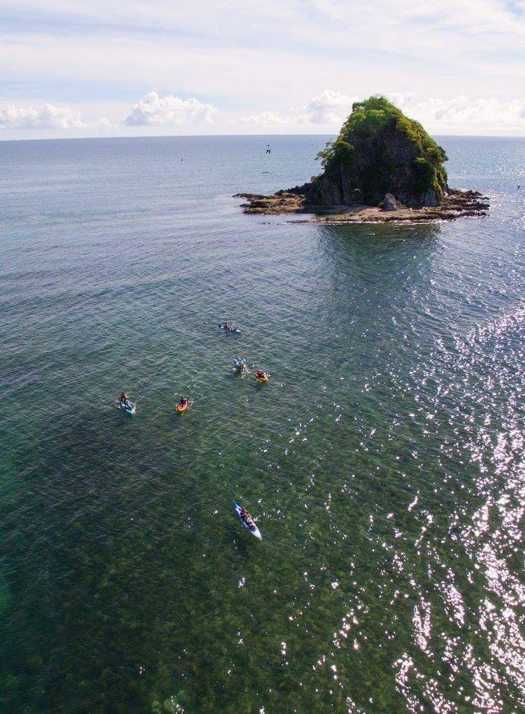 swiming in the bay