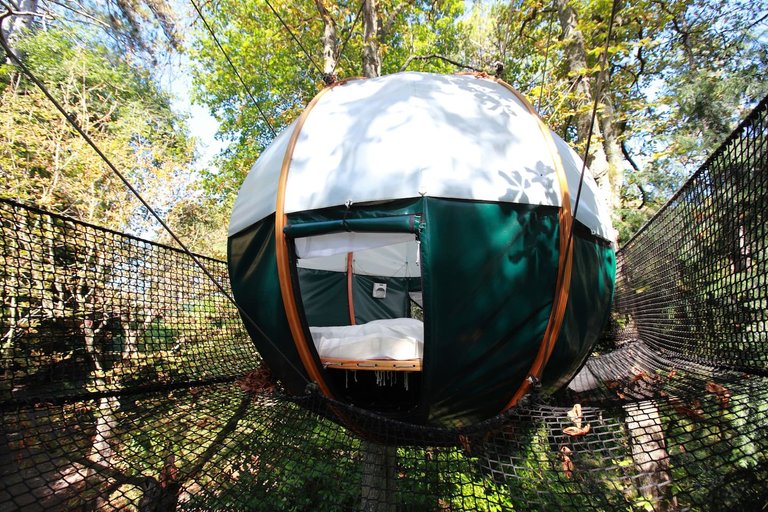 Cocoon in the trees - green holiday home 1