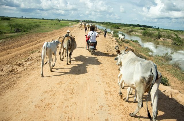 Siem Reap country side road