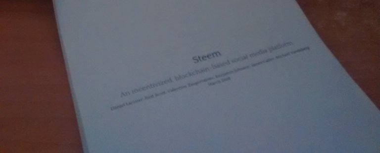 Picture of the printed Steem white paper