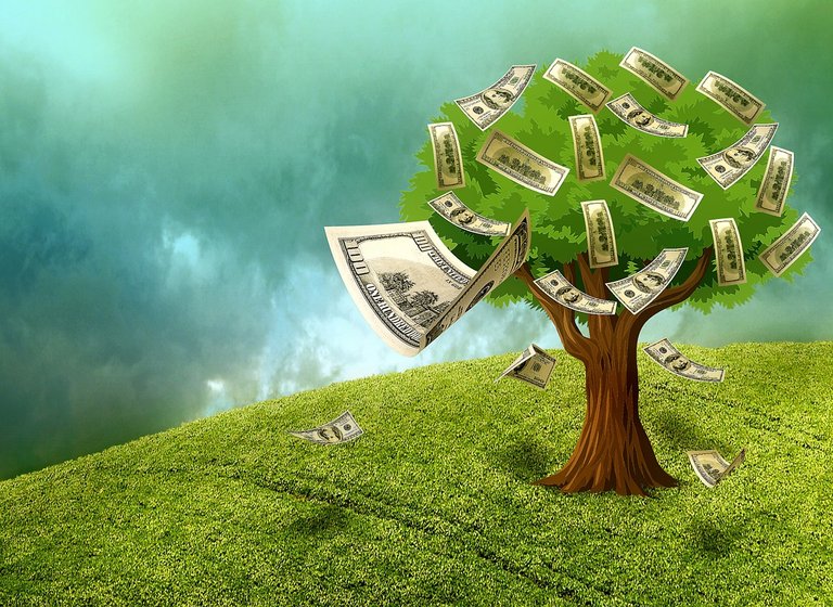 image of moneytree