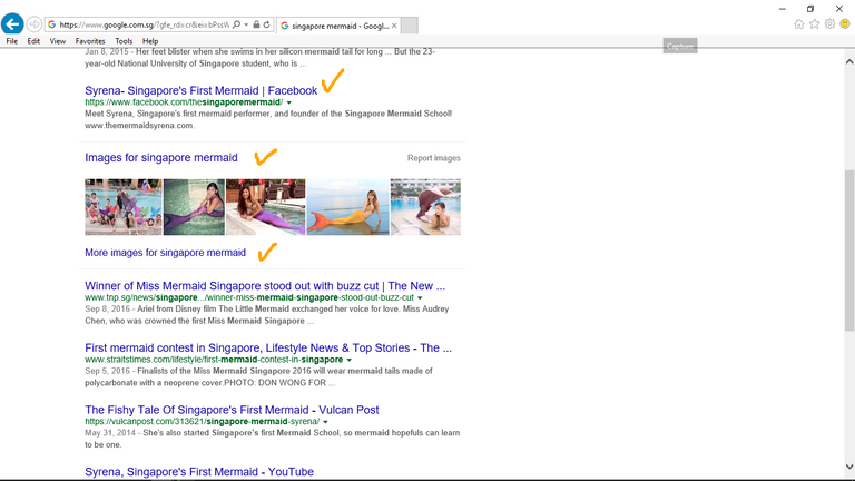 Search Result 1