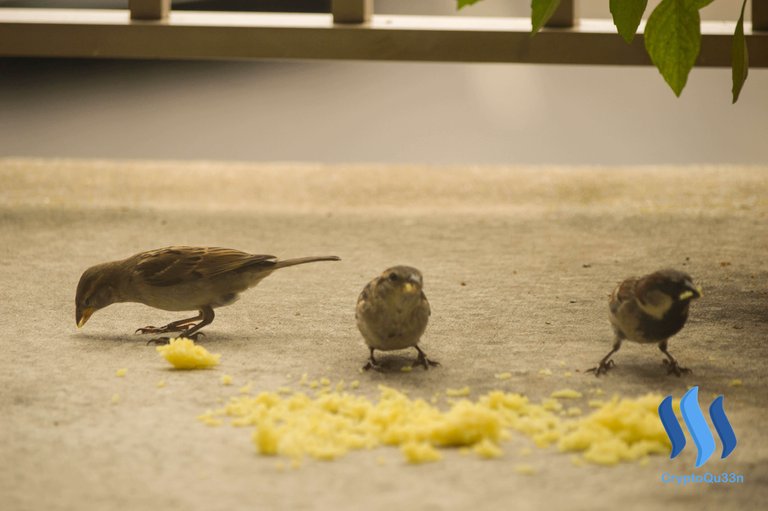 Barry with his friends enjoying his meal