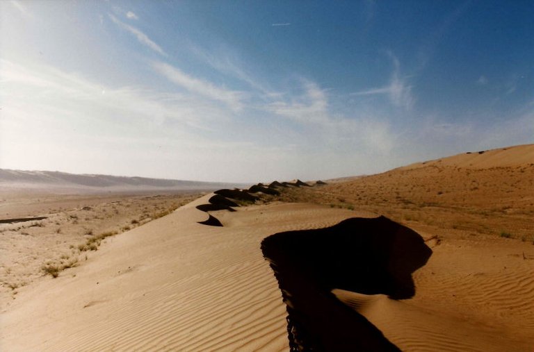 Omani Desert Sands