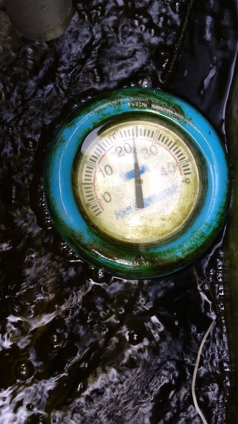 water temp 24°C