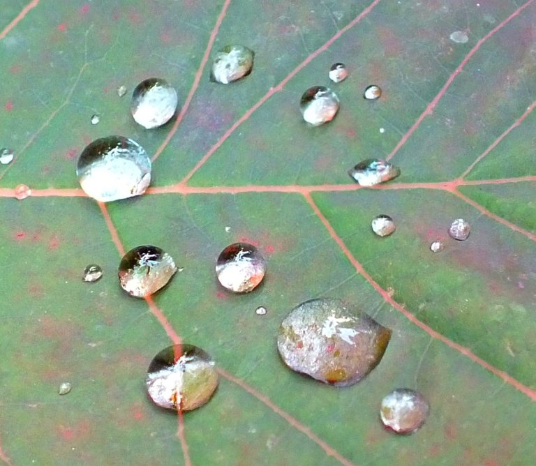 WaterDroplets