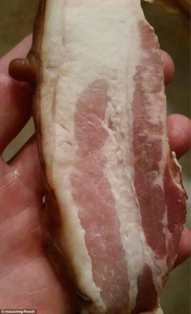 Teat Bacon