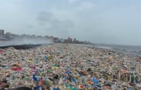 Image of the beach before clean up