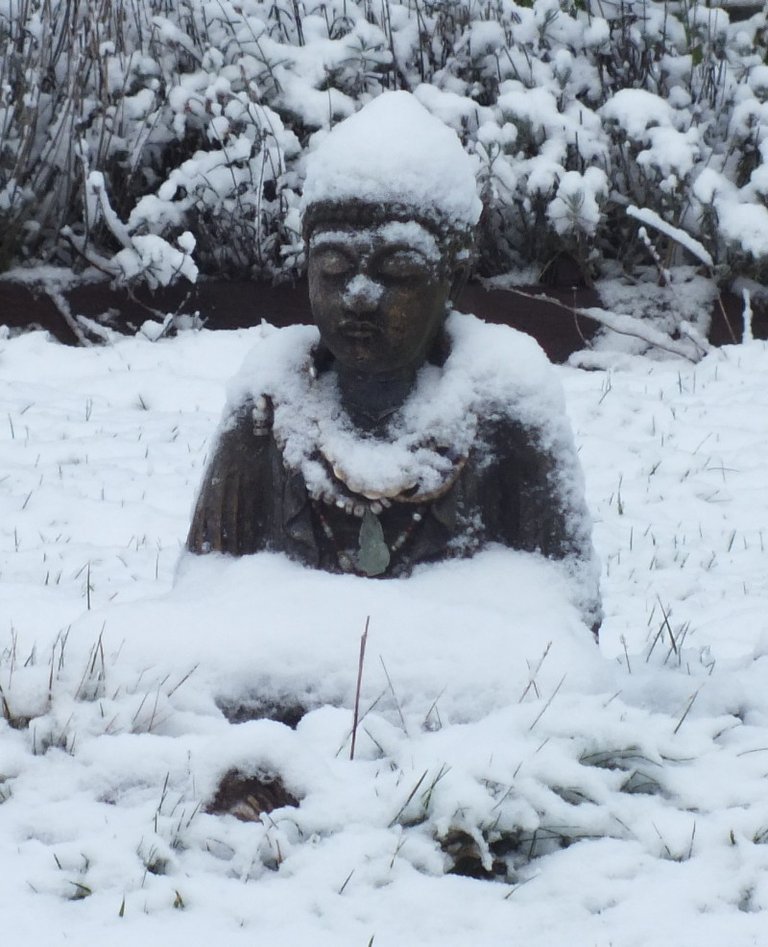 SnowBuddha