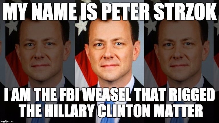 Strzok The Seditionist