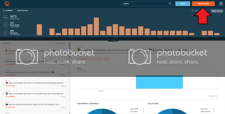  photo bitly-overview_zpsr5xrcdu1.png