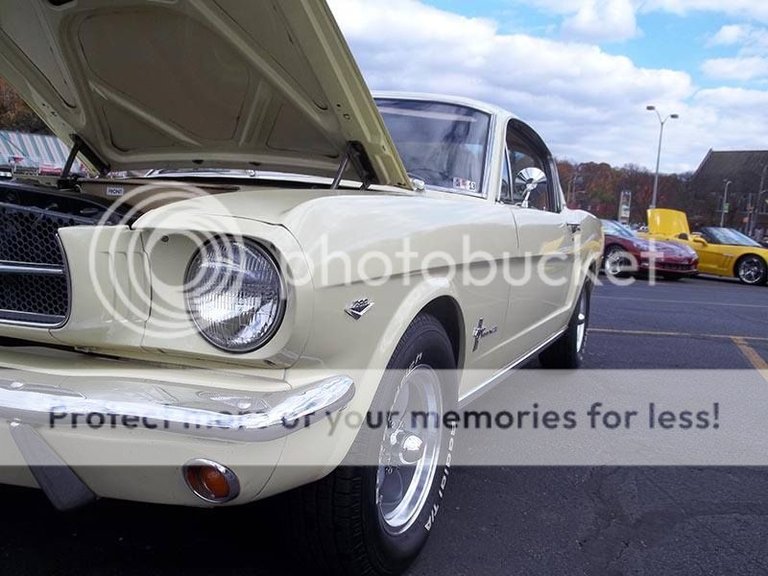 mustang from car show