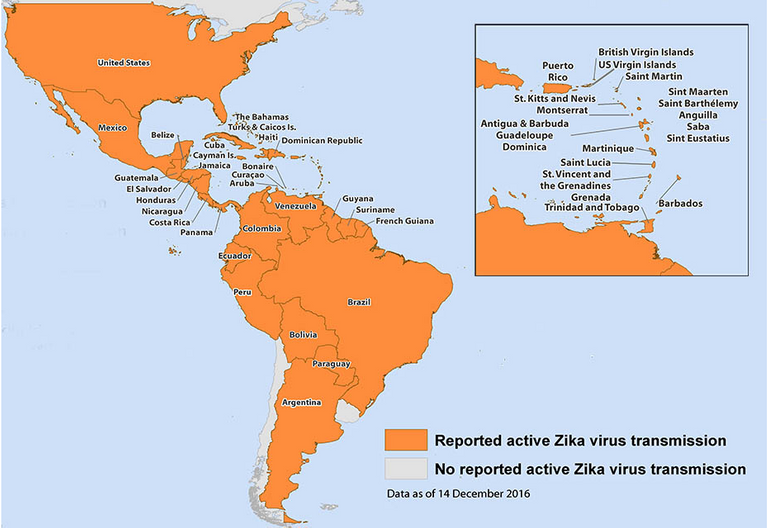 zika map