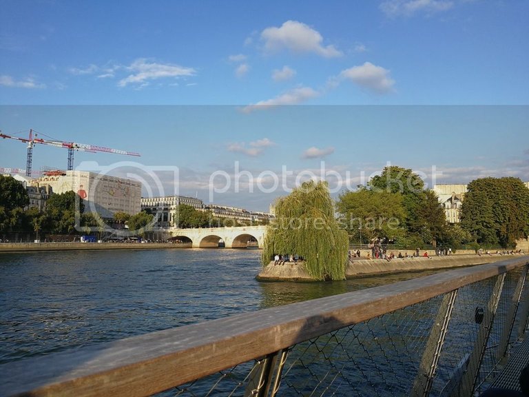 Downstream tip of the Île de la Cité
