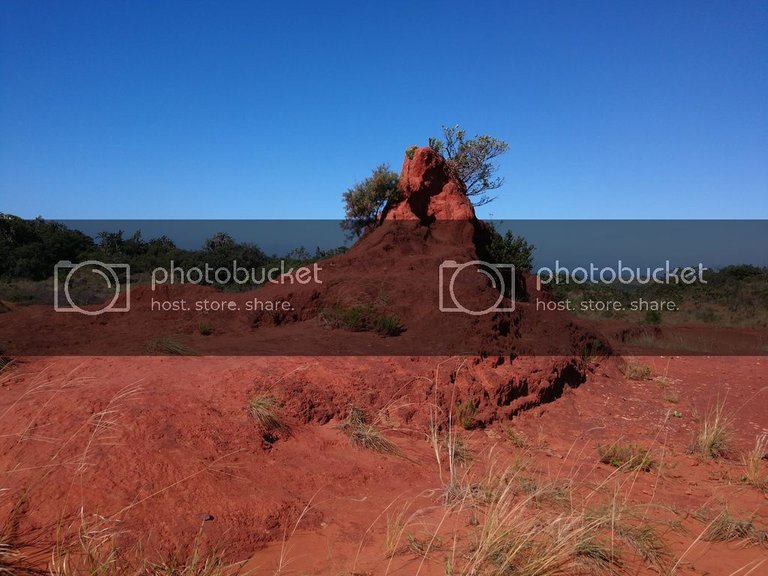 rock formation