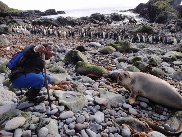 Thando with seal