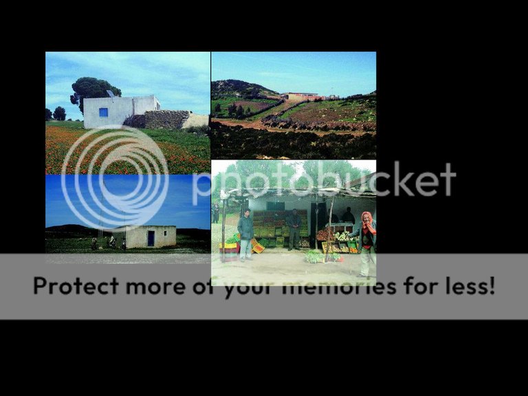 Rural Tunisia collage