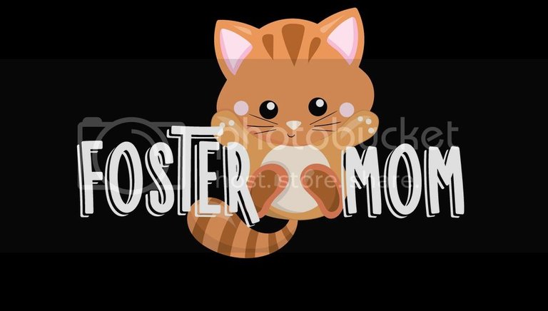 foster cat mom t-shirt shirt